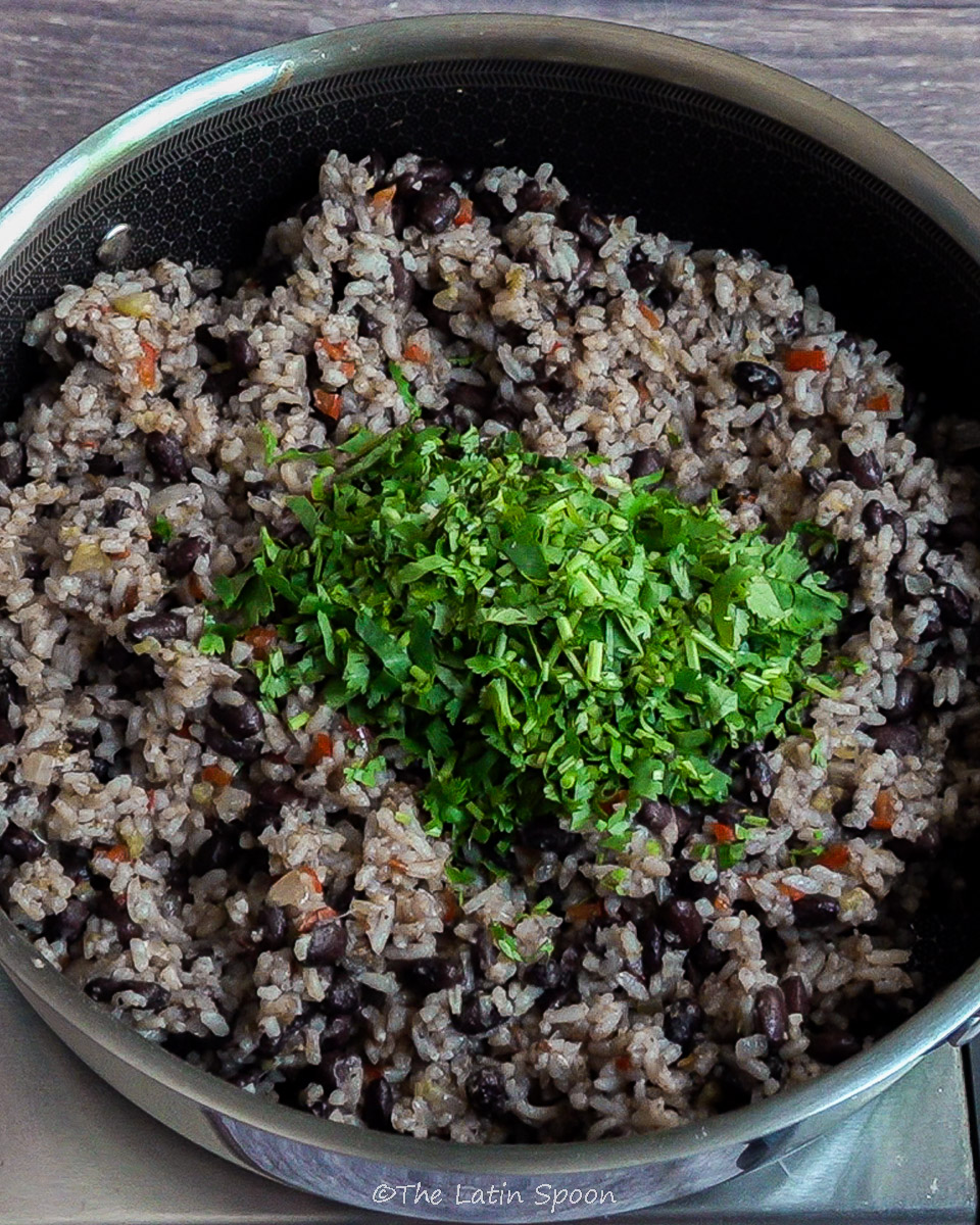 Large pan with fully cooked Gallo Pinto, the white rice now stained from the black beans’ broth. Fresh cilantro is being sprinkled on top as the final step