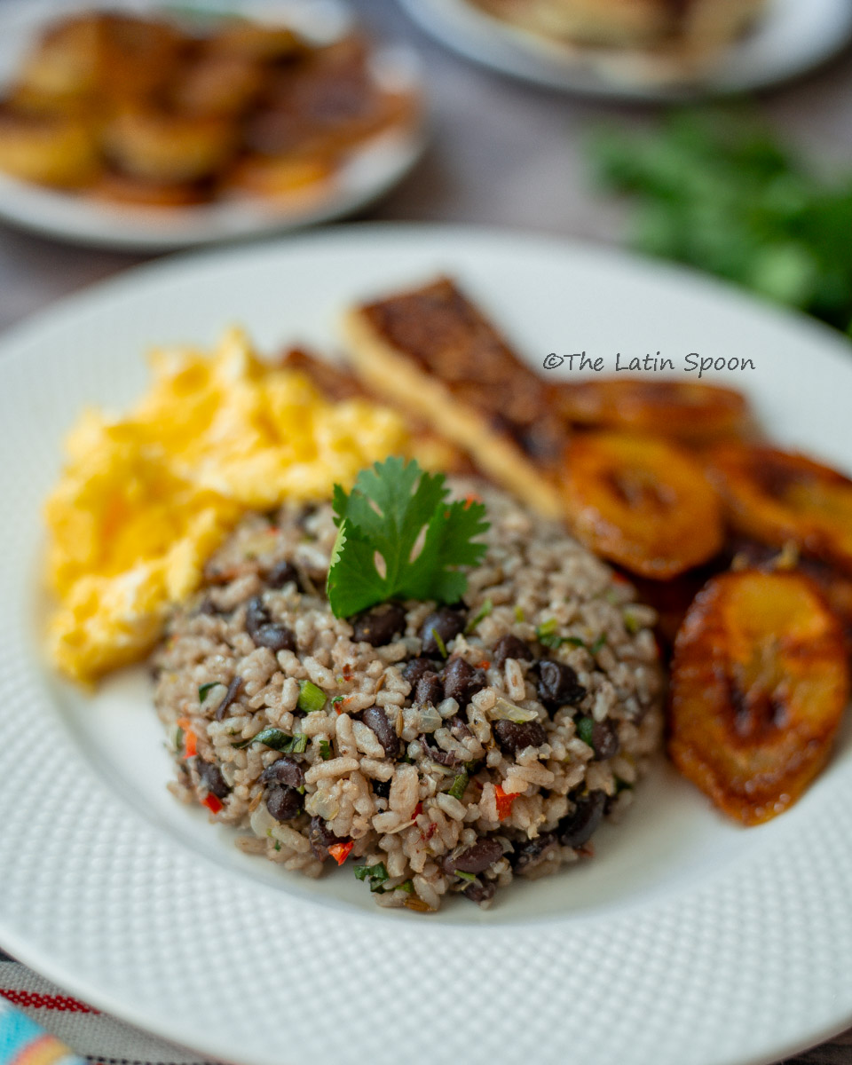 White plate beautifully arranged with Gallo Pinto, scrambled eggs, fried plantains, and fried cheese. The Gallo Pinto is topped with a cilantro leaf and photographed from the front at a slightly farther distance, with blurred fried plantains and cilantro visible in the background.