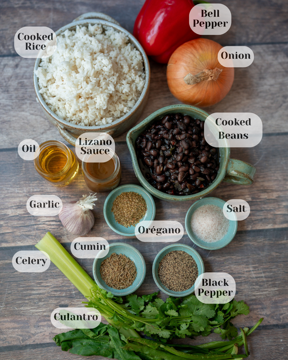 Overhead shot of all the ingredients used for Gallo Pinto, each labeled with its name and title.