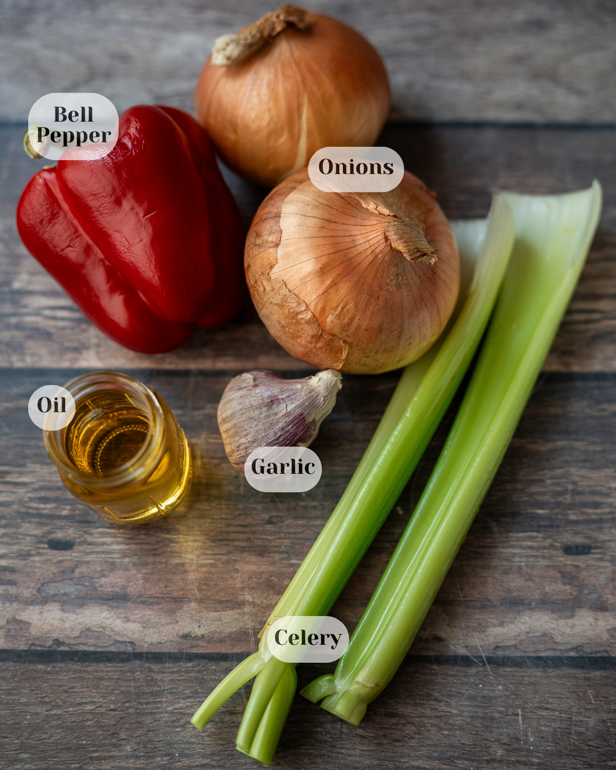 Headshot of all ingredients needed to make sofrito, each labeled with its name.
