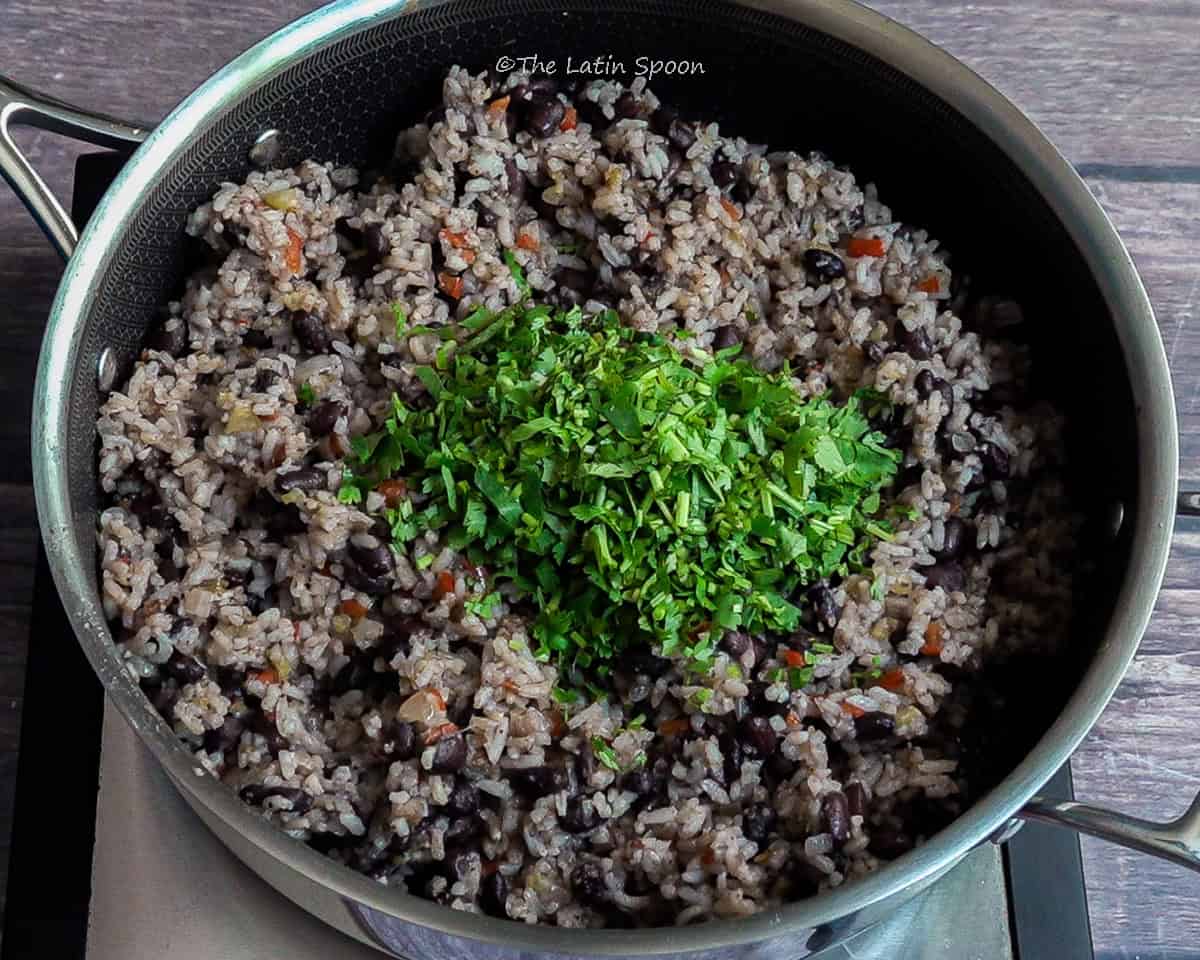 Large pan with fully cooked Gallo Pinto, the white rice now stained from the black beans’ broth. Fresh cilantro is being sprinkled on top as the final step