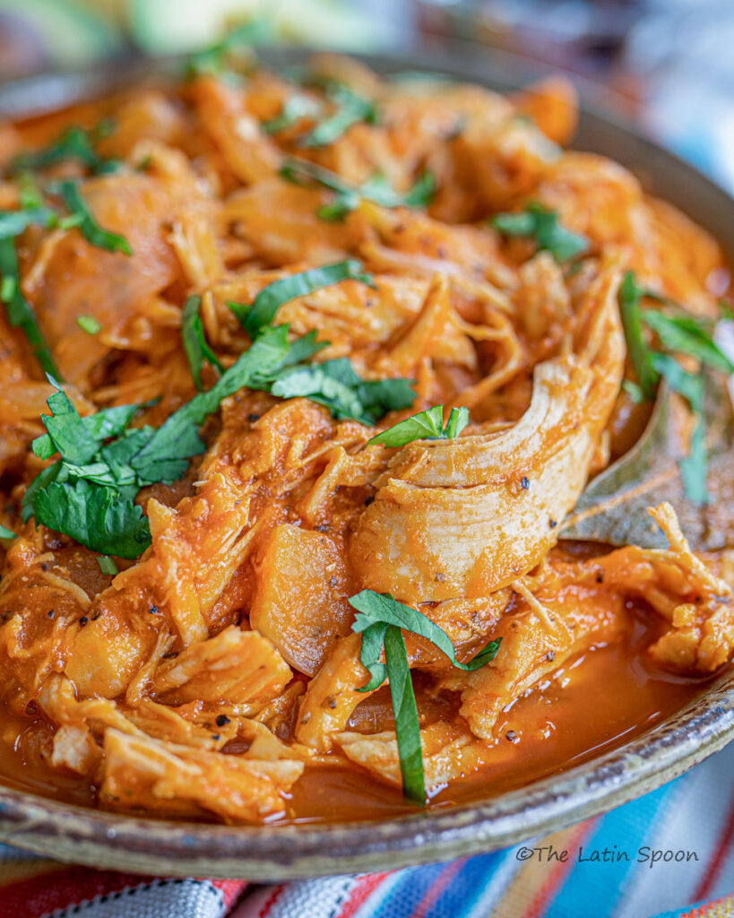 Round plate filled with shredded chicken in a red sauce, garnished with freshly chopped cilantro.