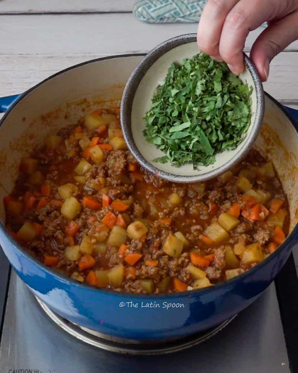 A Dutch oven with ground beef picadillo containing potatoes and carrots, while a small cup of chopped cilantro is being poured in and a kitchen towel in the background.