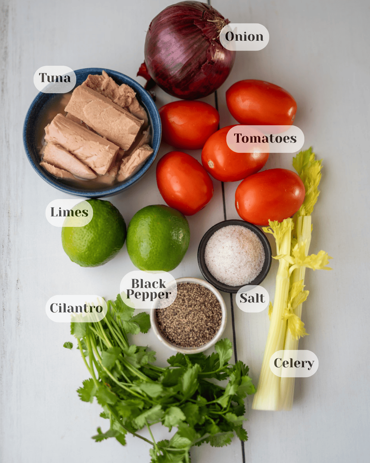 A photo taken from above showing all the ingredients used to make the tuna salad.