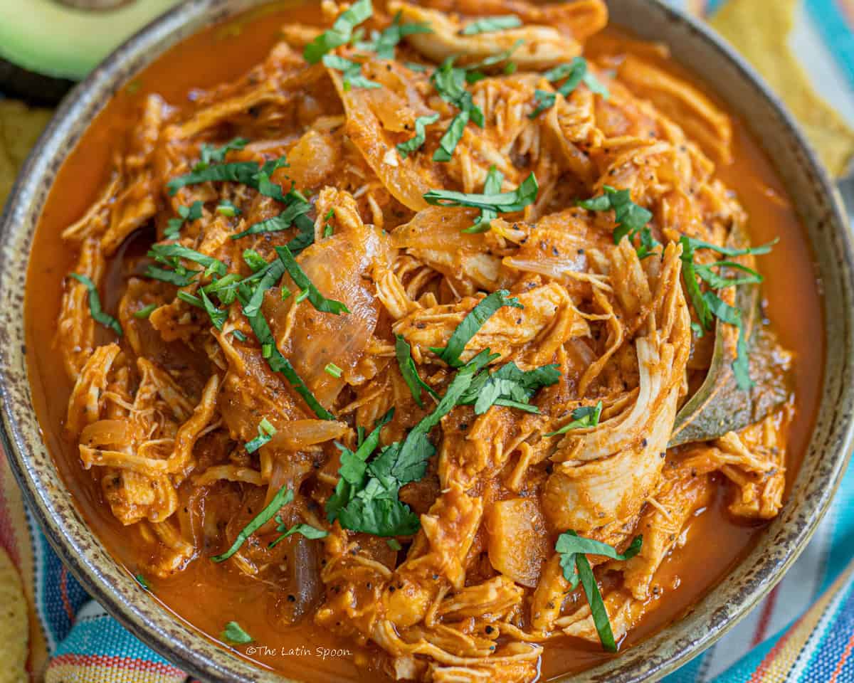 A deep bowl filled with shredded chicken in tomato sauce, topped with chopped fresh cilantro.