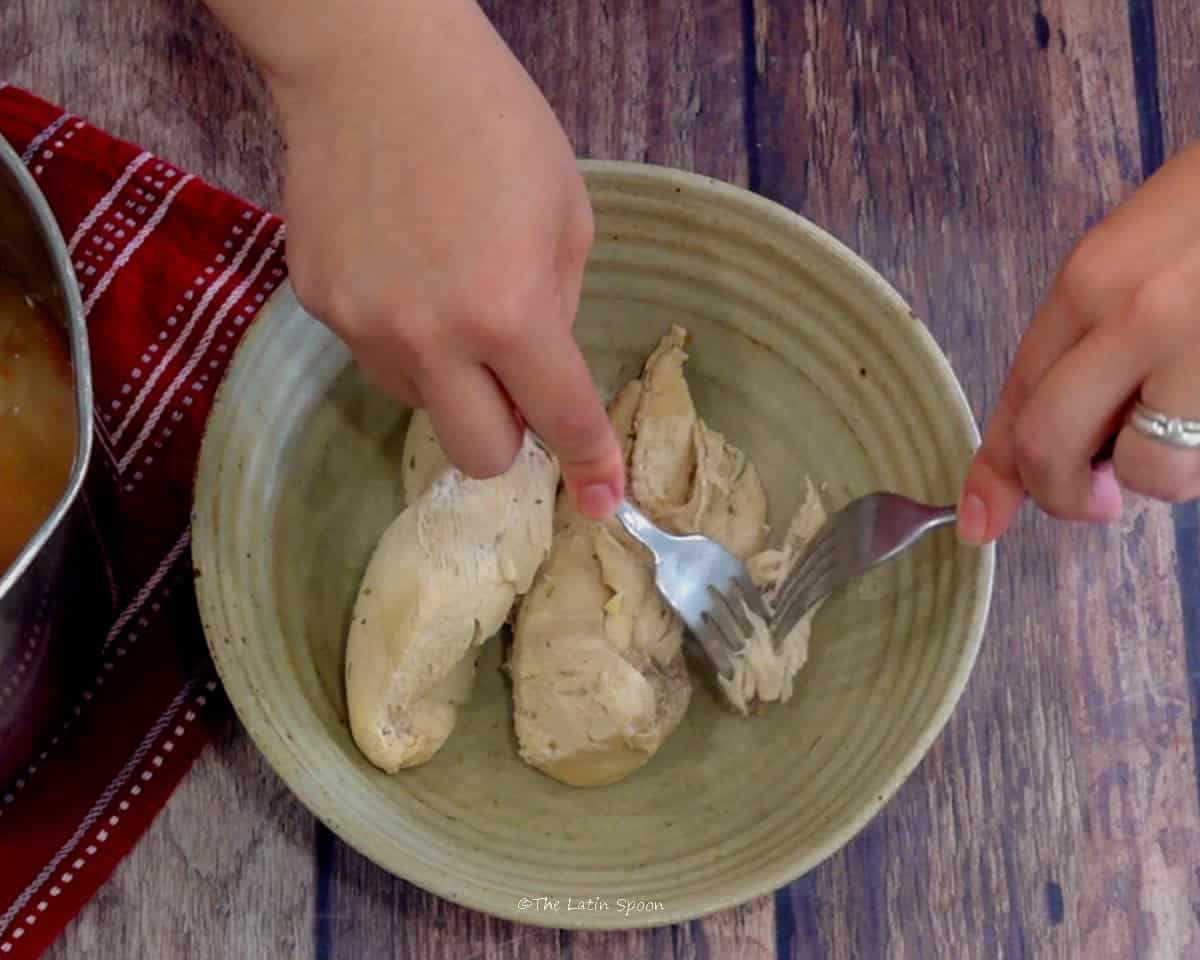 A plate with cooked chicken breasts while two hands use forks to shred the chicken.